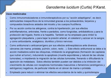 Ganoderma lucidum (Curtis) P.Karst.