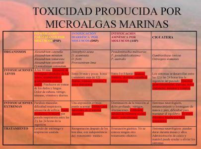 Toxicidad producida por microalgas marinas