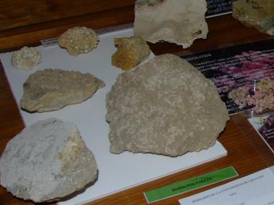 Rodolitos fósiles