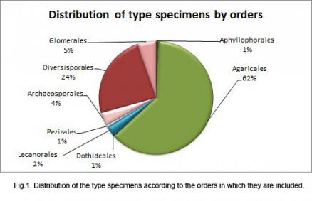 Fig. 1. Distribución de especímenes tipos por órdenes.