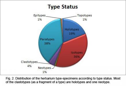Fig. 2. Distribución de los especímenes tipo según su categoría de tipo.